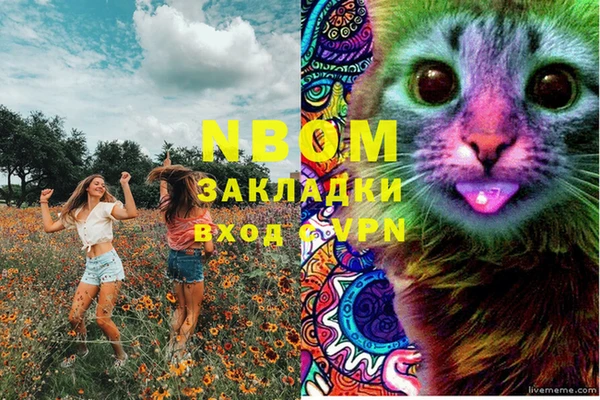бошки Абаза