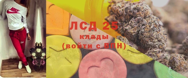 apvp Алексин